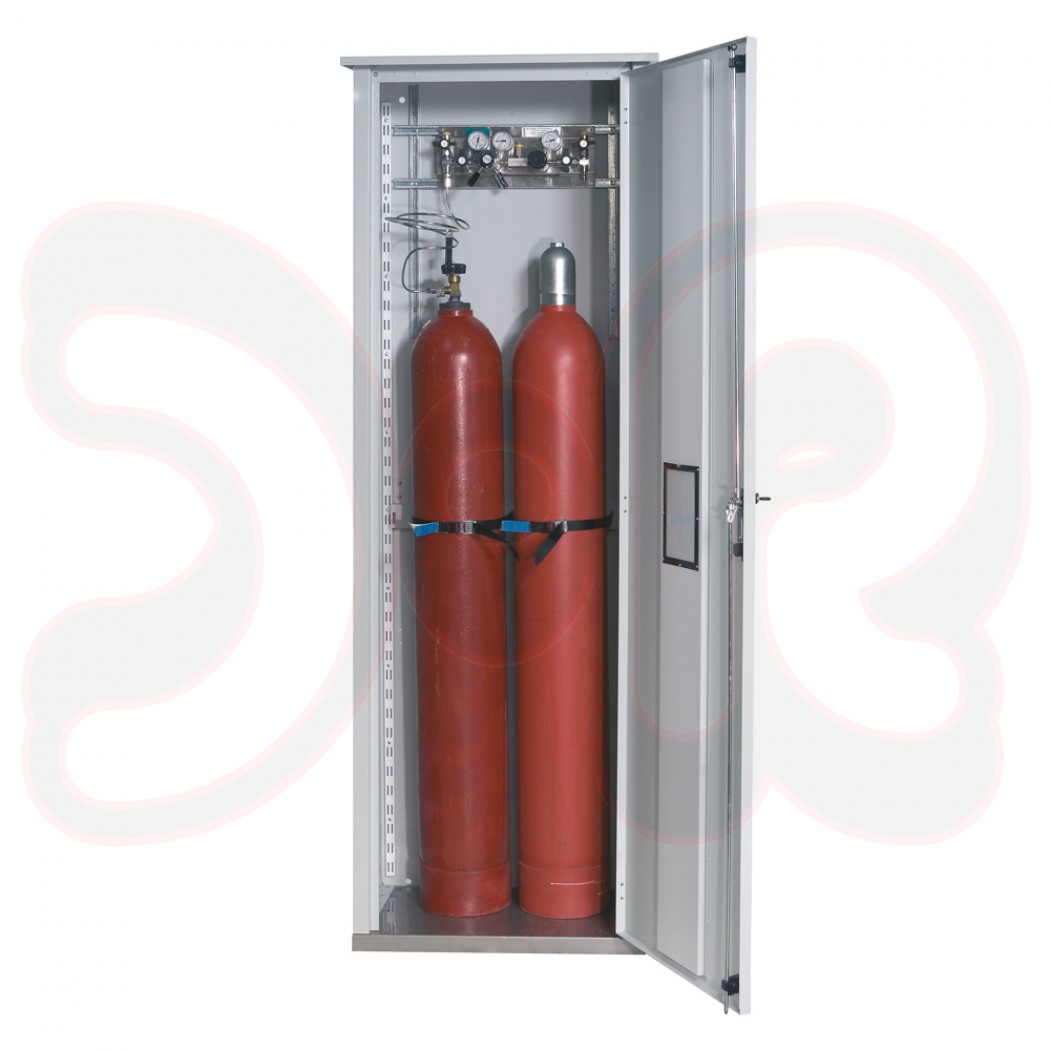 Einwandiger Druckgasflaschenschrank für 2 Flaschen, für Außenbereich (lichtgrau)
